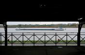 de schelde